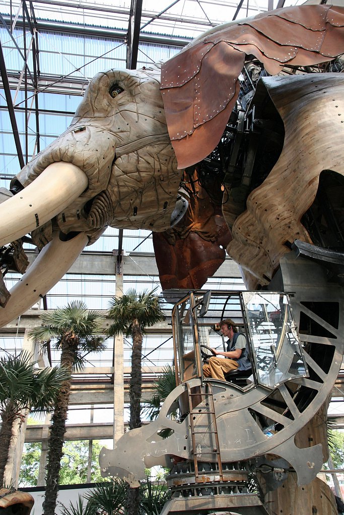 20708054d23.jpg