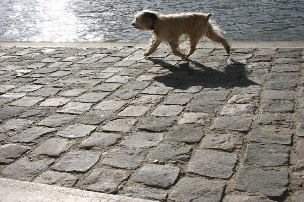 IMG-6365.jpg