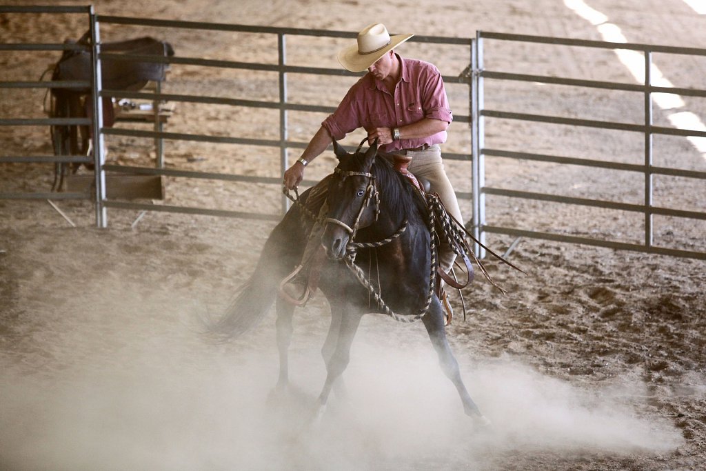 Chuchoteur, méthodes d'équitation douce.