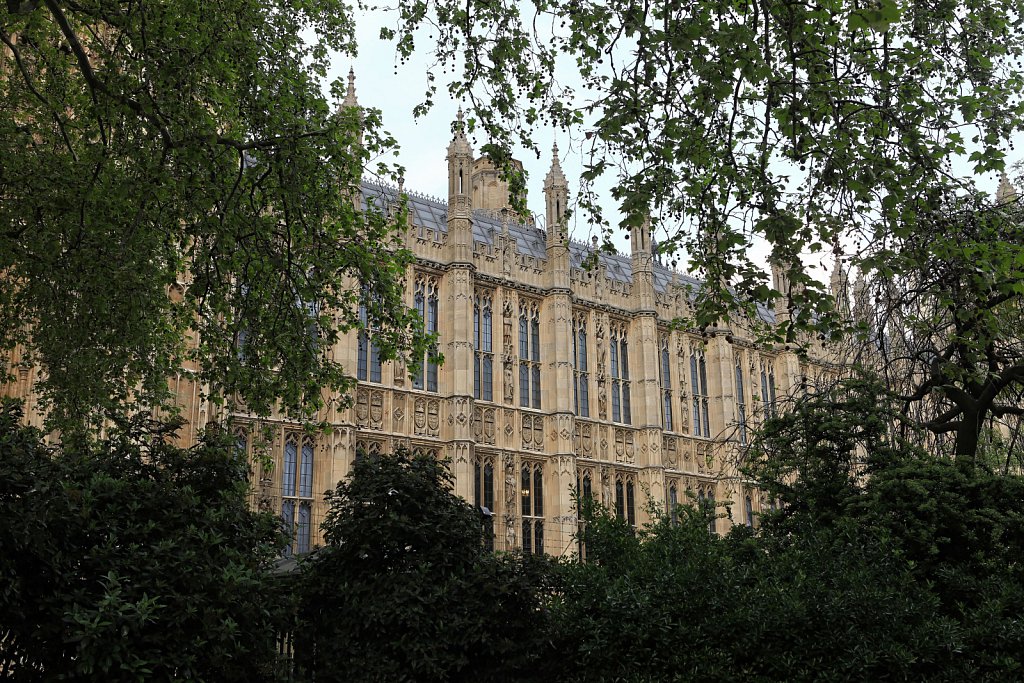 21104080d024.jpg