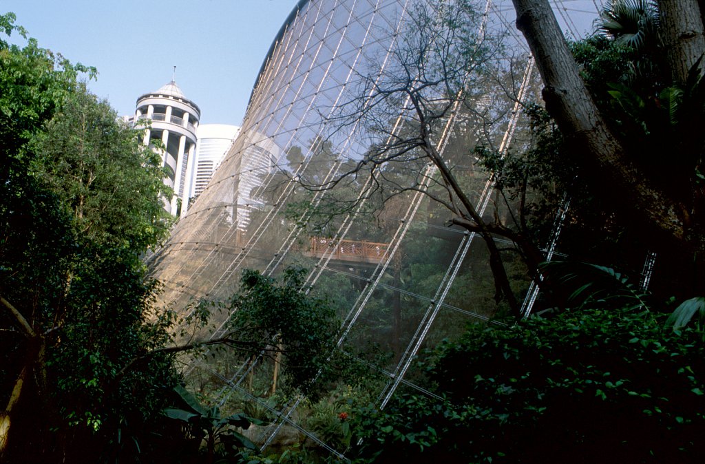 2010505k029.jpg