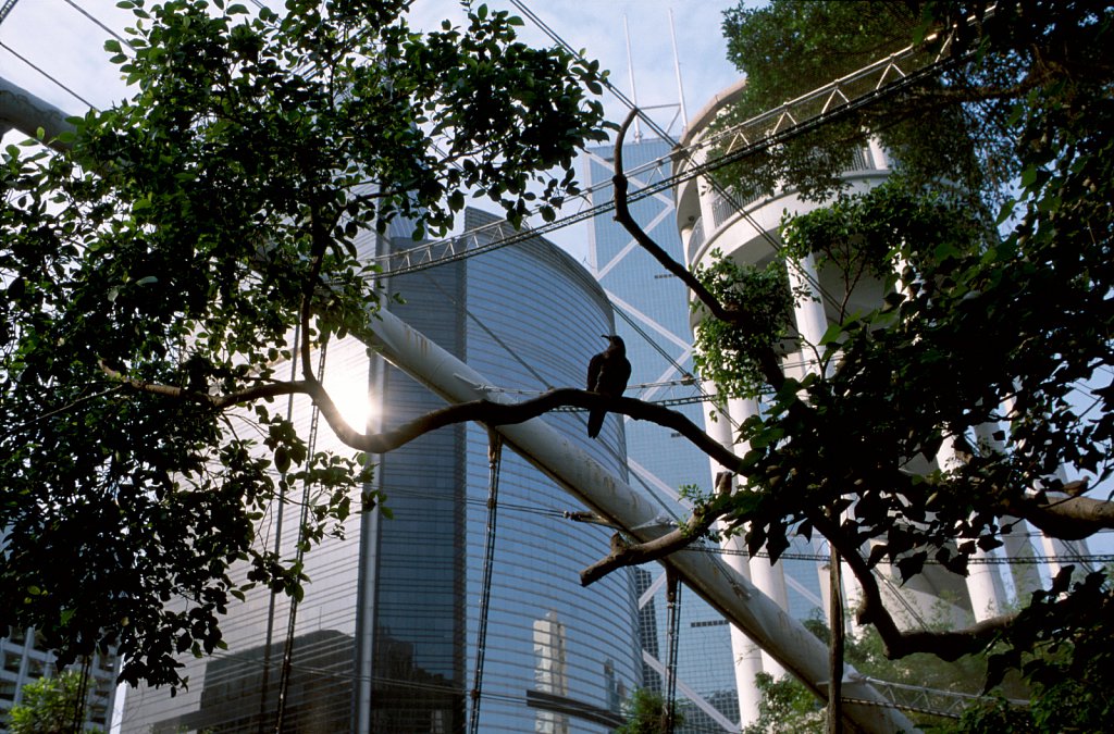 2010505k030.jpg