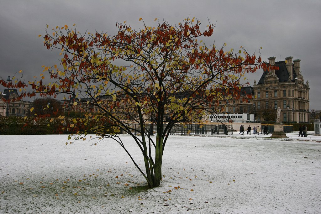 2051122d10.jpg