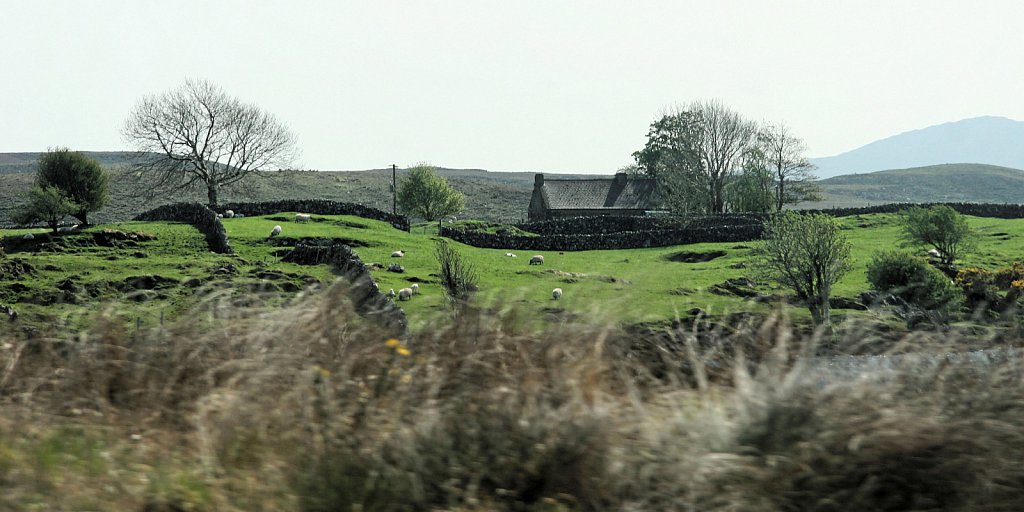 20705035d047.jpg